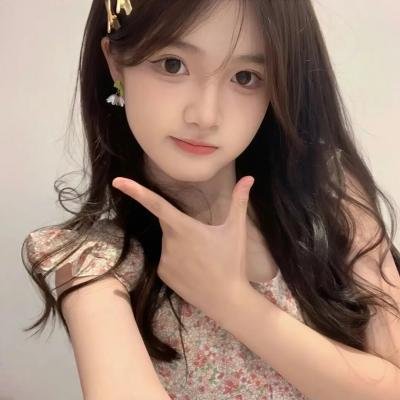 完美计划 海报