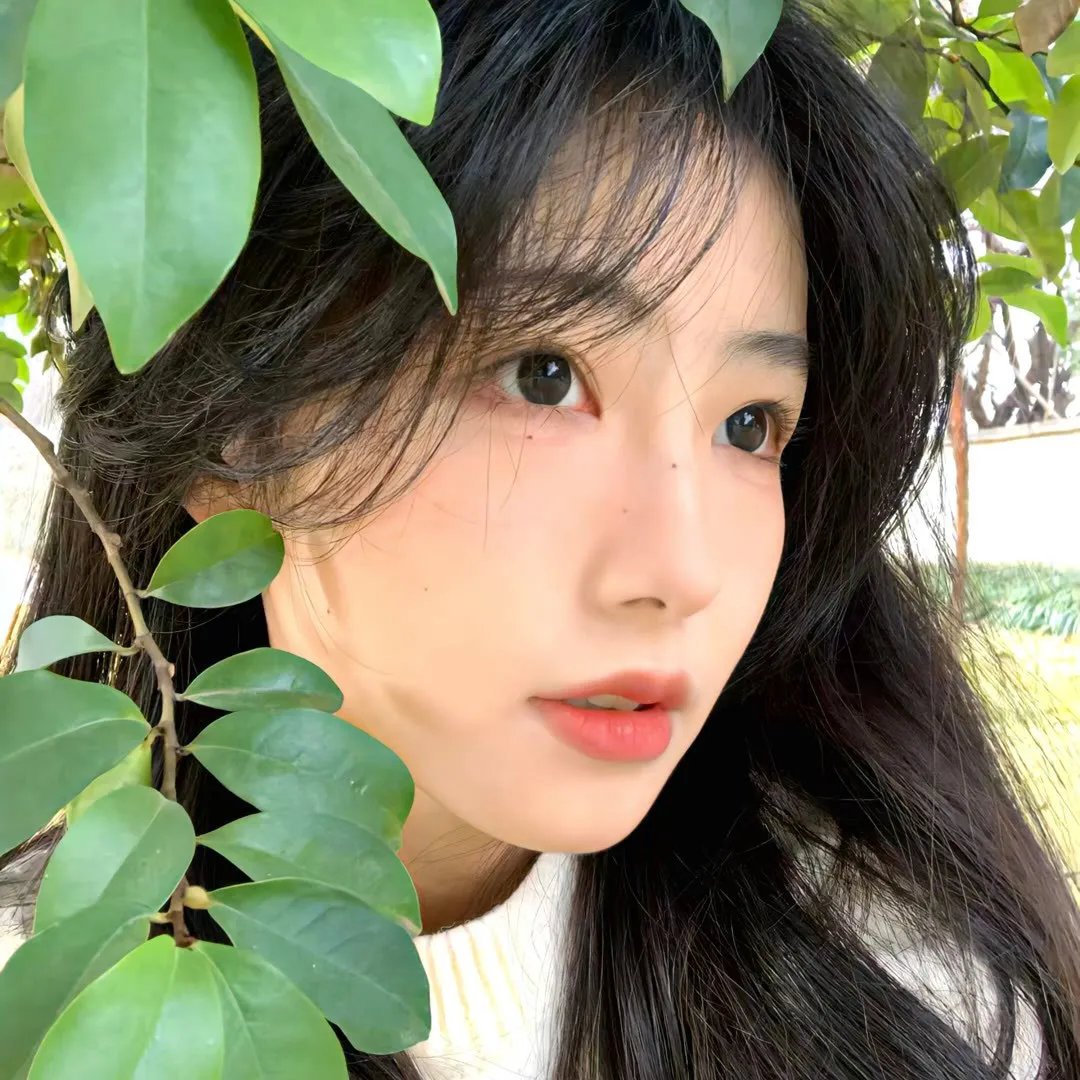 梦想的声音第三季